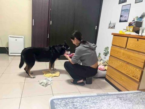 貓咪褓母～小五 - 家裡有獨立空間跟空濾機及我愛狗的另一半