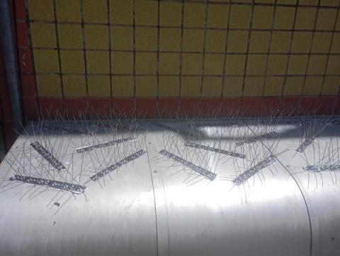 鐵皮屋頂漆，防水漆，圍籬，室內油漆都有承做 - 防鳥刺安裝