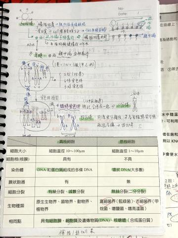 董芮瑄 - 擅長統整筆記錯題，能教導孩子如何正確統整筆記，養成良好讀書習慣