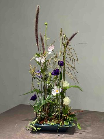 貓不理 • 植物系療癒所 - 