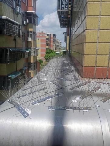 鐵皮屋頂漆，防水漆，圍籬，室內油漆都有承做 - 防鳥刺安裝