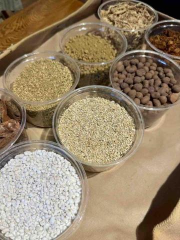 貓不理 • 植物系療癒所 - 