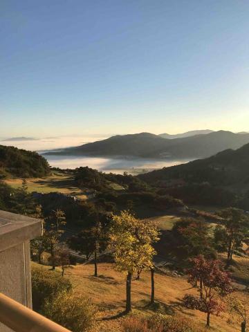 專業高爾夫教練Henry - Golfzon韓國比賽