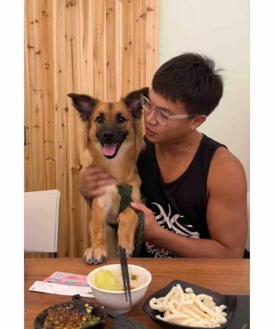 提供152養身服務的專家Hahamanisme