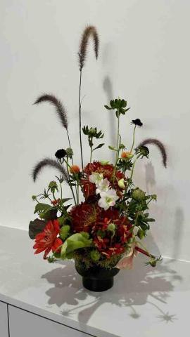 貓不理 • 植物系療癒所 - 