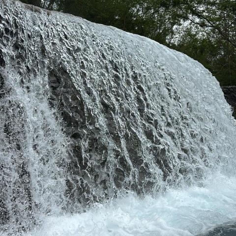 提供打工服務的專家田俊佑