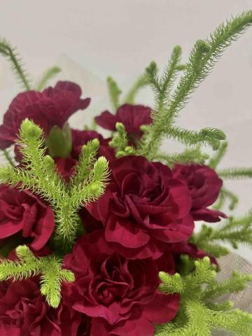 貓不理 • 植物系療癒所 - 