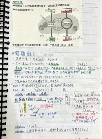 董芮瑄 - 擅長統整筆記錯題，能教導孩子如何正確統整筆記，養成良好讀書習慣