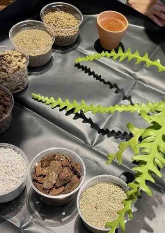 貓不理 • 植物系療癒所 - 