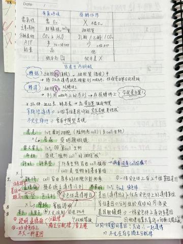董芮瑄 - 擅長統整筆記錯題，能教導孩子如何正確統整筆記，養成良好讀書習慣