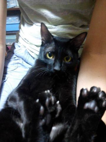 張乃璇 Michelle - Lulu寶貝兒時照