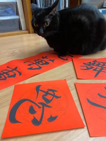 張乃璇 Michelle - 貓貓過蛇年