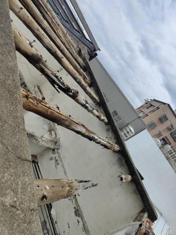 恩陞工程行  統編：95265022 - 114/06/22 木頭拆除