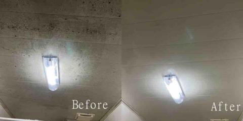 潔室悦X蟎蟲捕手—居家清潔服務 - 