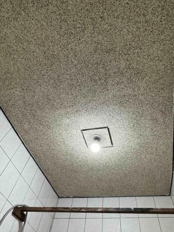 海虎工程 - 浴室天花板抿石施作