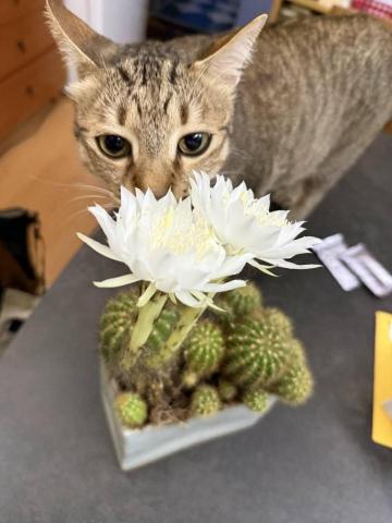 張乃璇 Michelle - 真香...（吸