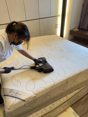 打擊蟎蟎-專業除蟎/水洗床墊/水洗沙發/樹林清潔公 - 