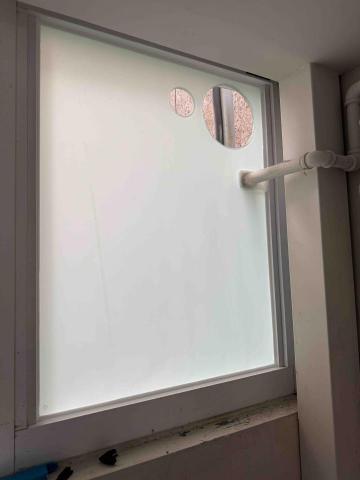 莊子緯 - 5mm強化+5mm強化膠合白膜玻璃