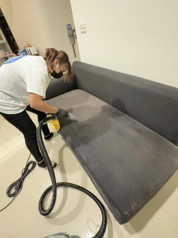 打擊蟎蟎-專業除蟎/水洗床墊/水洗沙發/樹林清潔公 - 