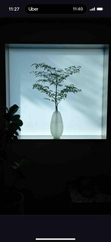 提供喜帖服務的專家J