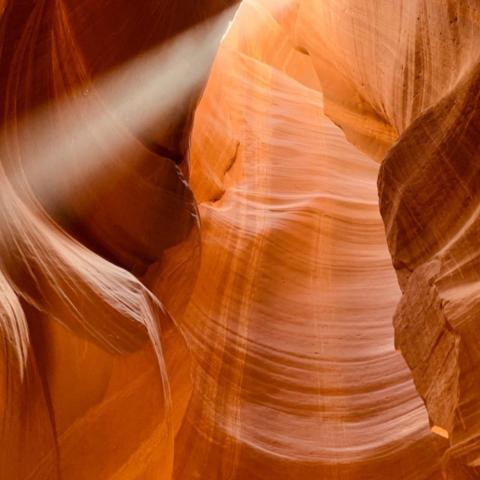 提供筆譯服務的專家TJ