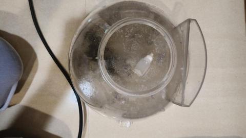 HWYA Shien - 幫客戶除塵蟎清潔的效果