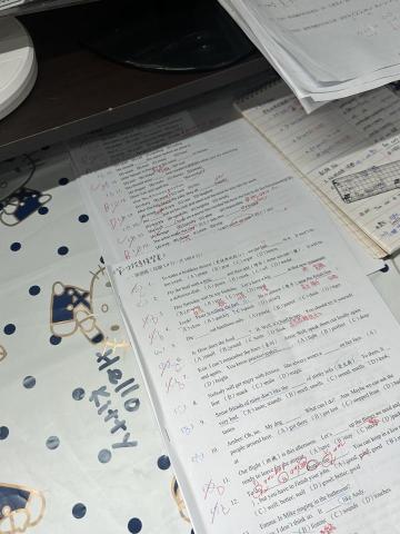 黎千鳳 - 考前複習