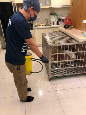 酷居除蟲 - 寵物友善環境消毒