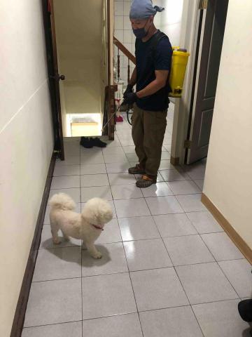 酷居除蟲 - 寵物友善環境消毒