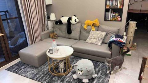 張郁琴 - 回家後乾淨又舒適的家