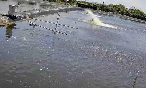 鄭仲圻 - 魚塭安裝畫面