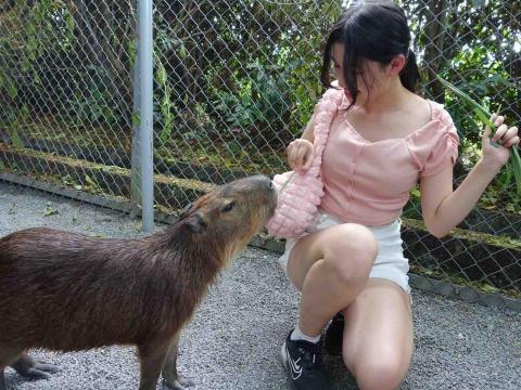 提供54服務的專家陳美晴