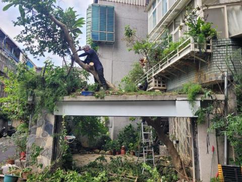 于森園藝企業社 （林先生） - 庭園造景施工前