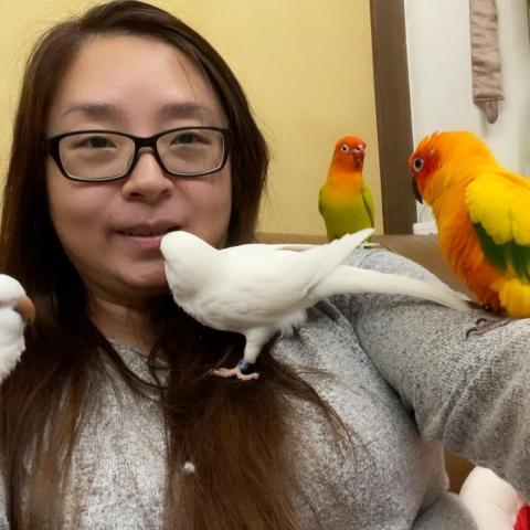 提供鳥寄宿服務的專家王憶柔