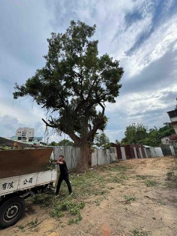 太杉 景観園芸所 エンゲイショ - 南投家商案場