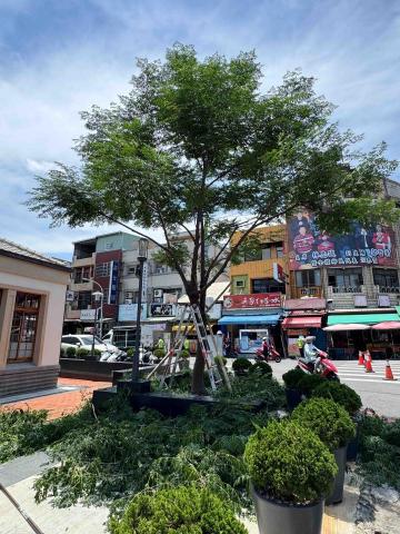 太杉 景観園芸所 エンゲイショ - 芬園鄉公所案場