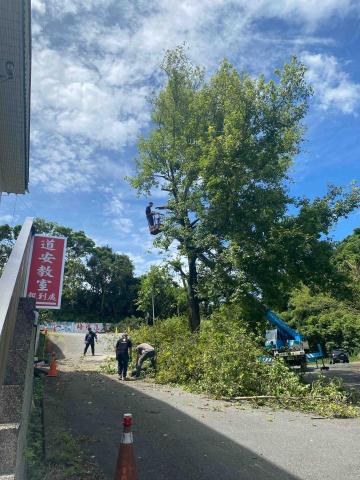 🪽森羽園藝 - 樹木修剪及移除