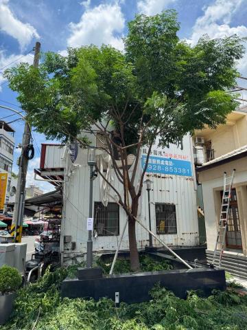 太杉 景観園芸所 エンゲイショ - 