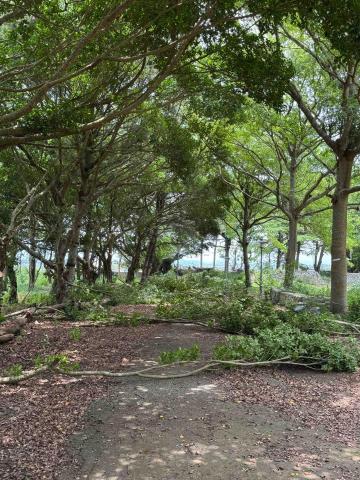 太杉 景観園芸所 エンゲイショ -  龍井露營區案場