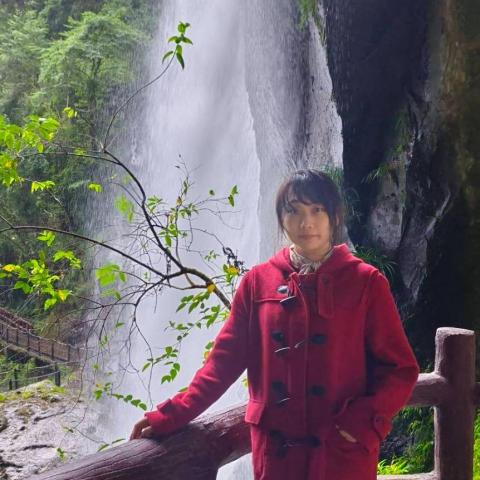 提供n4服務的專家湘湘