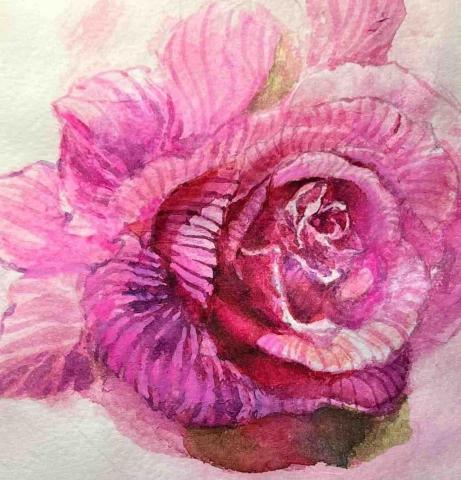 蘋果頭人文藝術工作室 - 