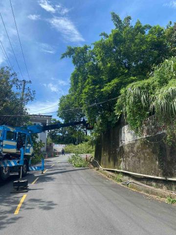 🪽森羽園藝 - 樹木修剪、移除