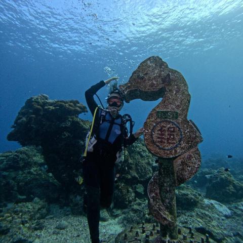 提供在家公作服務的專家lilline