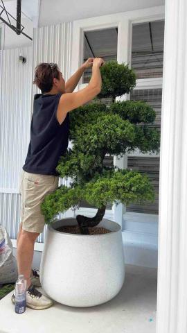 太杉 景観園芸所 エンゲイショ - 針 燒肉店 案場