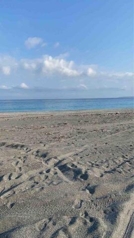 提供水溝巢服務的專家晟隆土木包工業(無障礙工程）