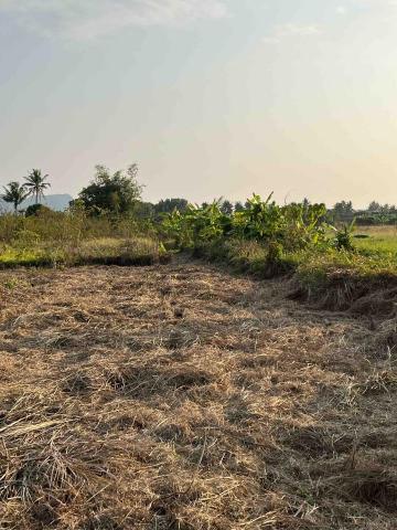 阿龍割草團隊 - 