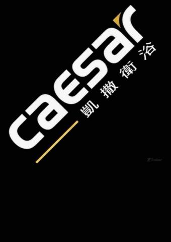 提供粗工服務的專家凱撒廚衛科技