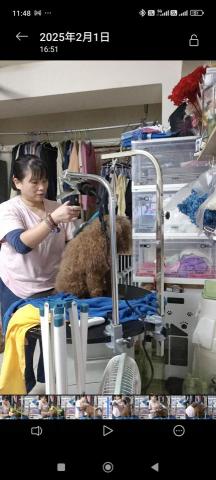 提供住宿服務的專家Alin寵物美容住宿日照料