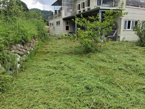 專業除草小陳 - 