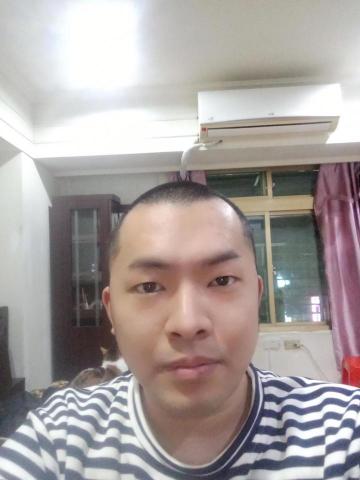 提供手工服務的專家螞蟻